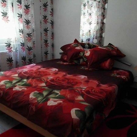 Appartement Apartament Ela Elegance à Orşova Extérieur photo
