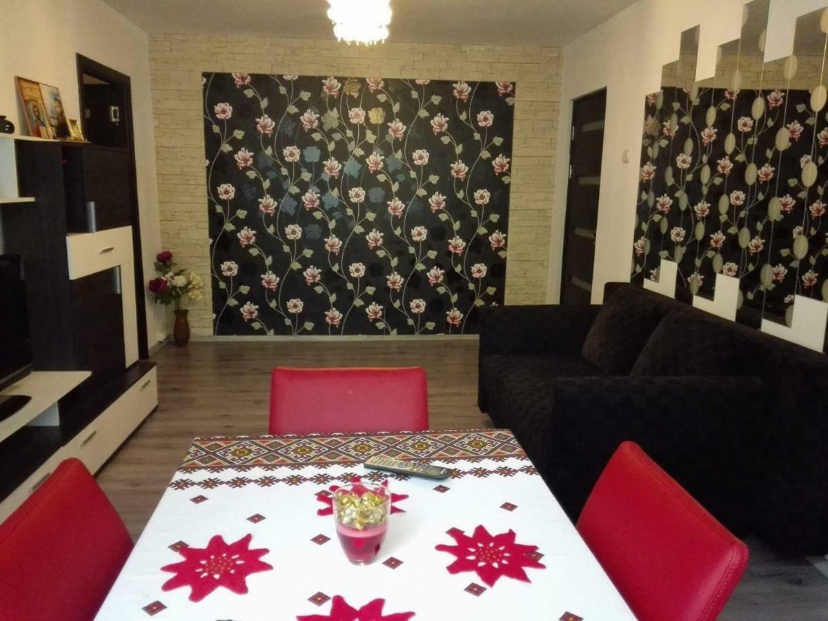 Appartement Apartament Ela Elegance à Orşova Extérieur photo