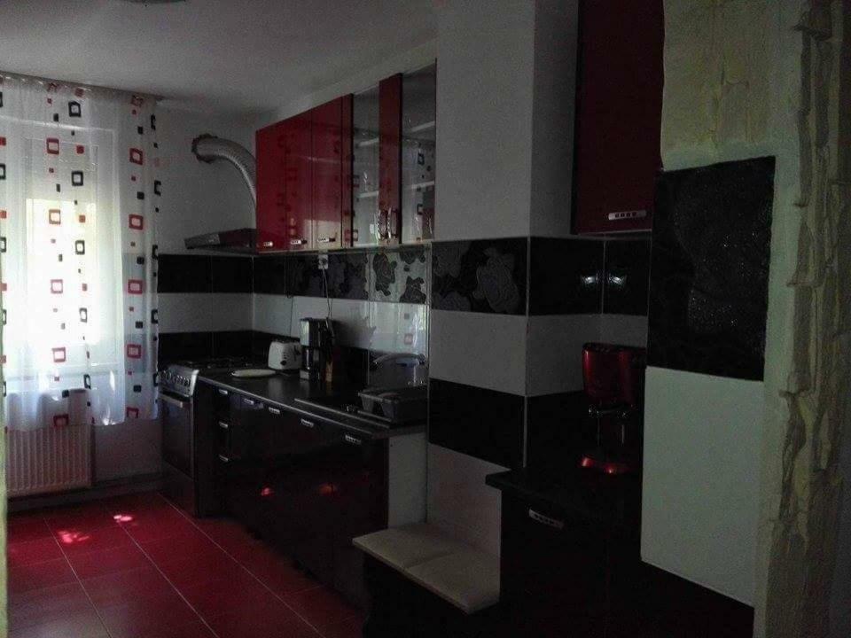 Appartement Apartament Ela Elegance à Orşova Extérieur photo