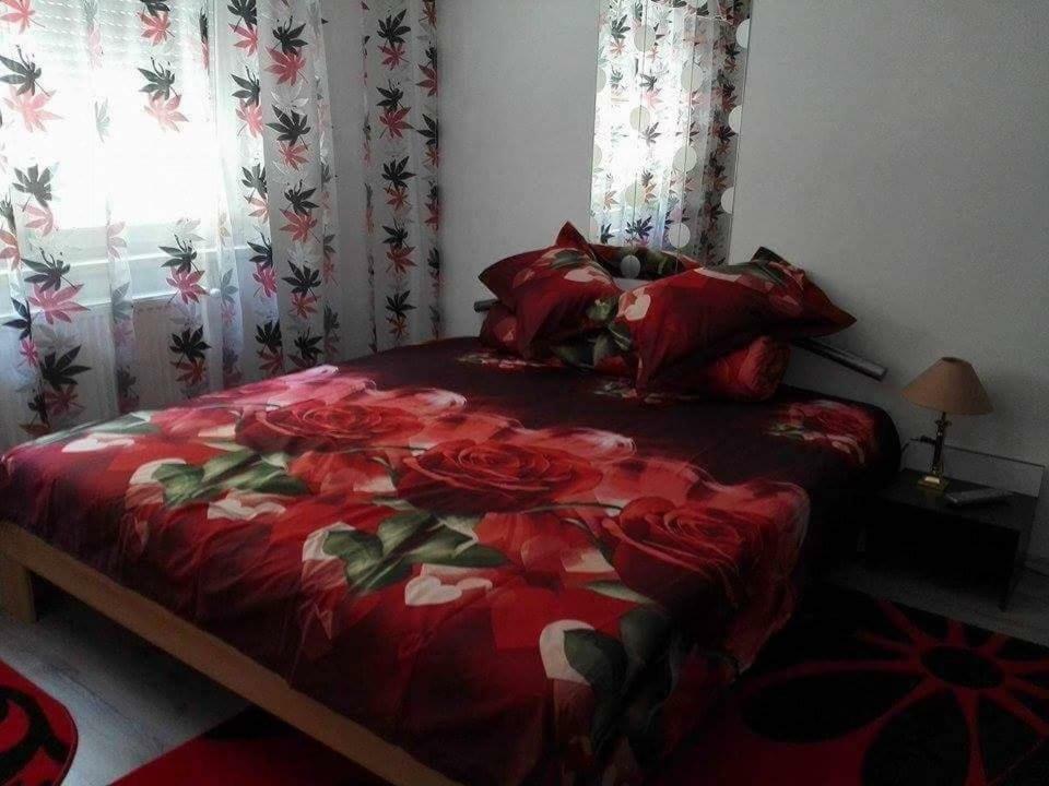 Appartement Apartament Ela Elegance à Orşova Extérieur photo