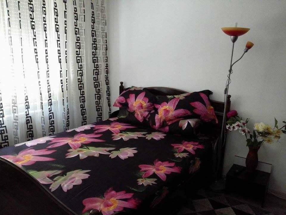 Appartement Apartament Ela Elegance à Orşova Extérieur photo