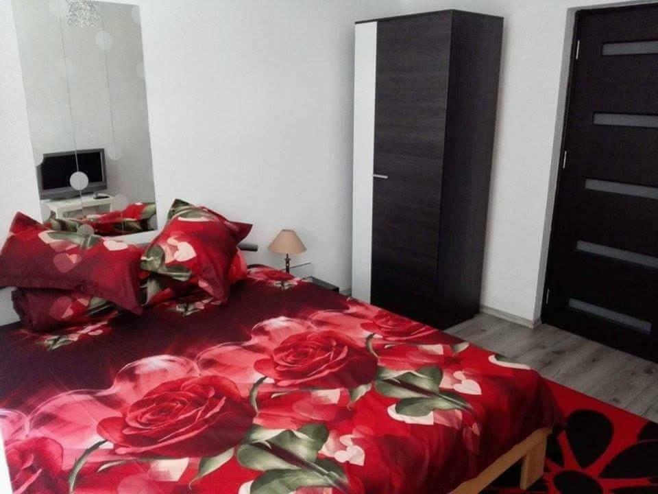 Appartement Apartament Ela Elegance à Orşova Extérieur photo